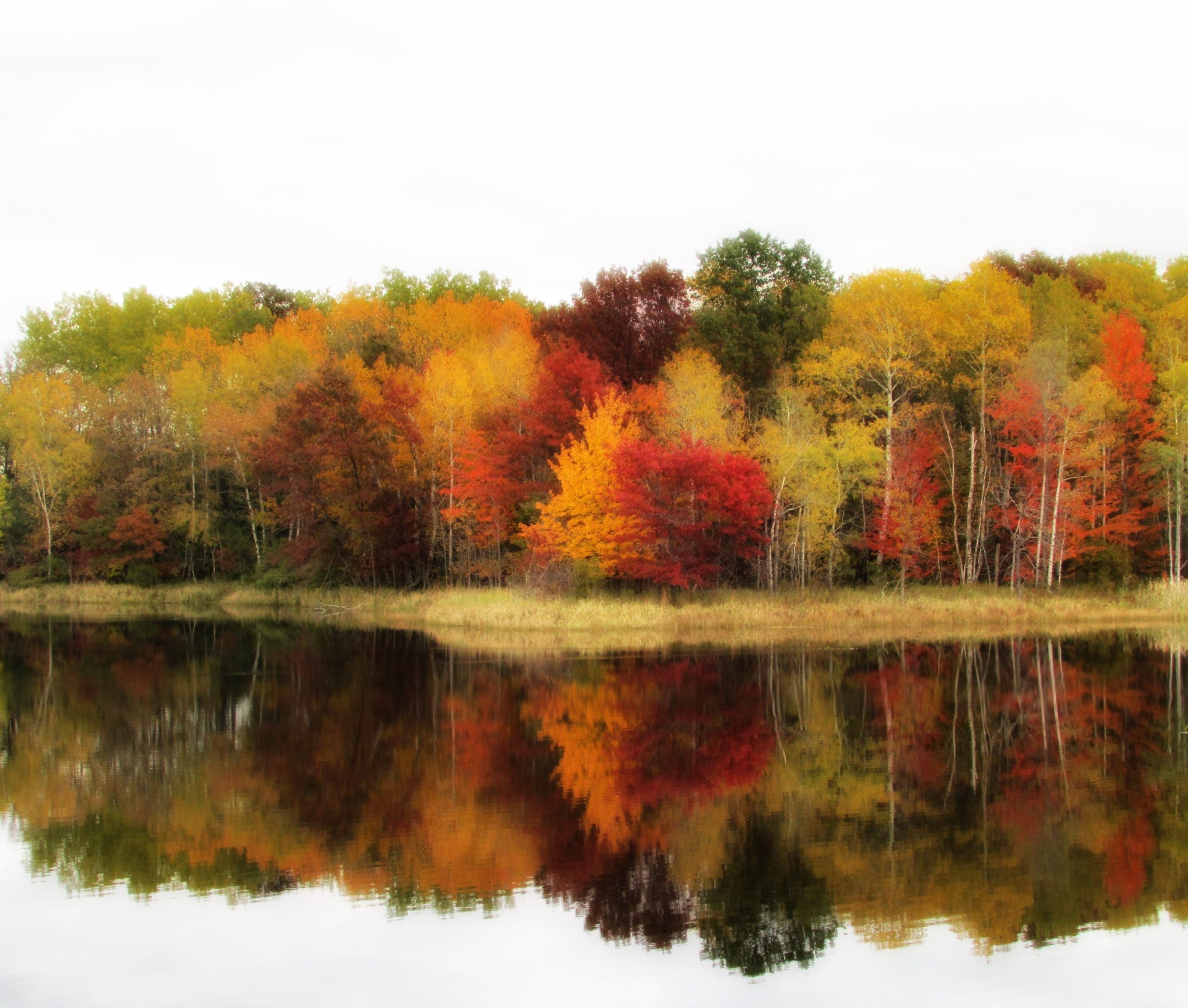 Réflexologie saisonnière : l’Automne