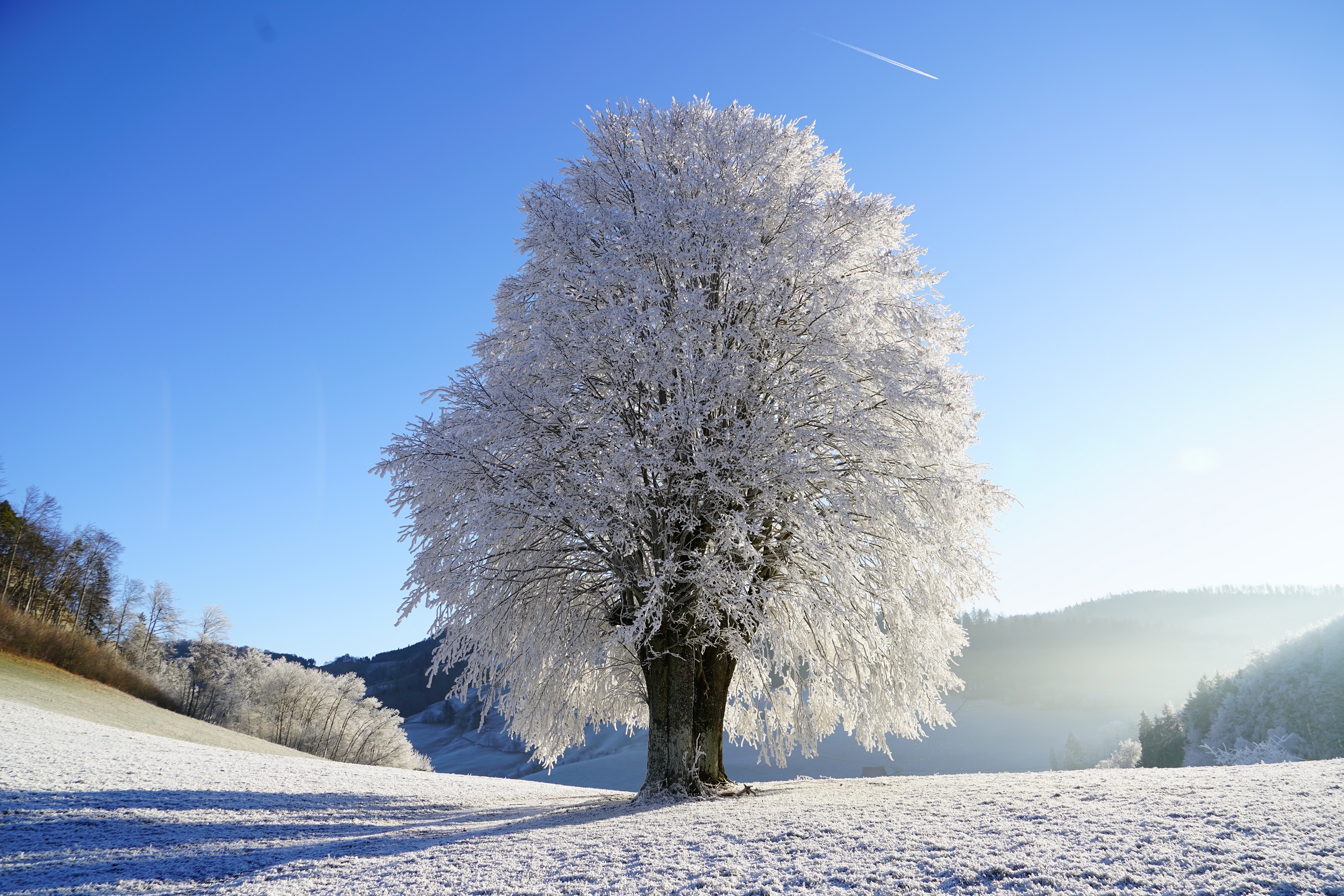 Réflexologie saisonnière : l’Hiver